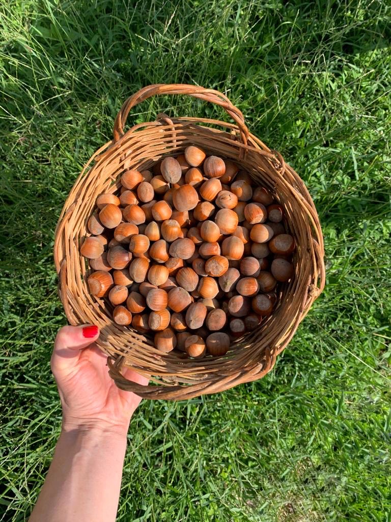 avellanas típicas del Piemonte | la Clandestina