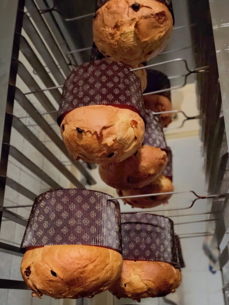panettone artesanal italiano | la Clandestina
