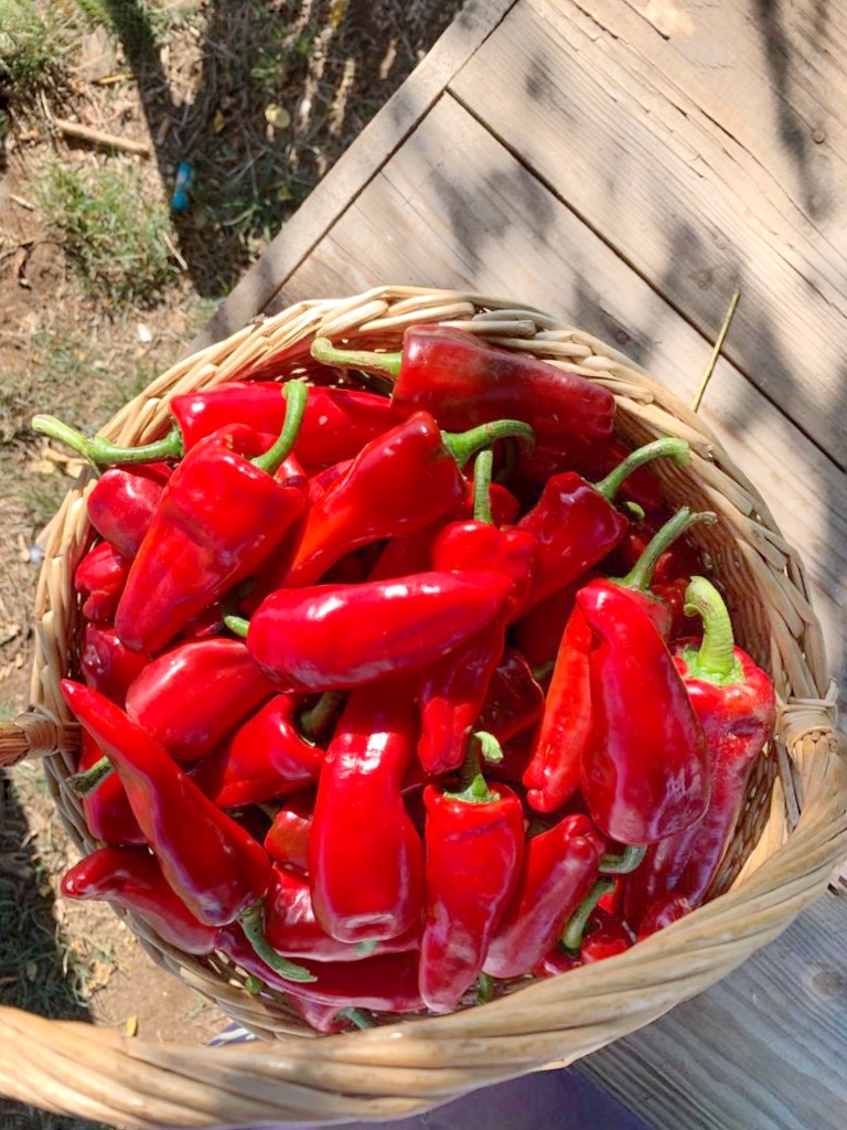 'nduja calabresa picante | la Clandestina
